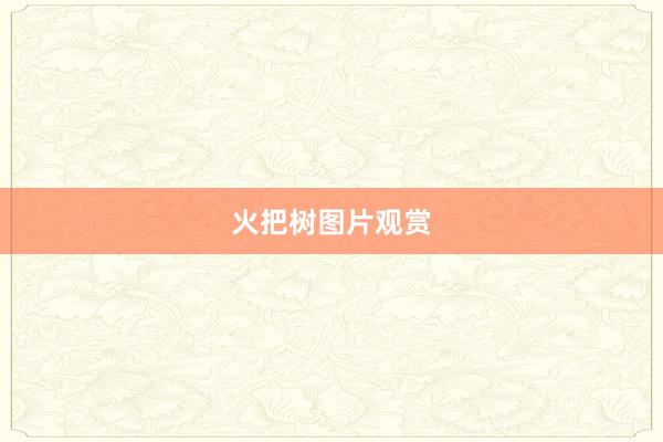 火把树图片观赏